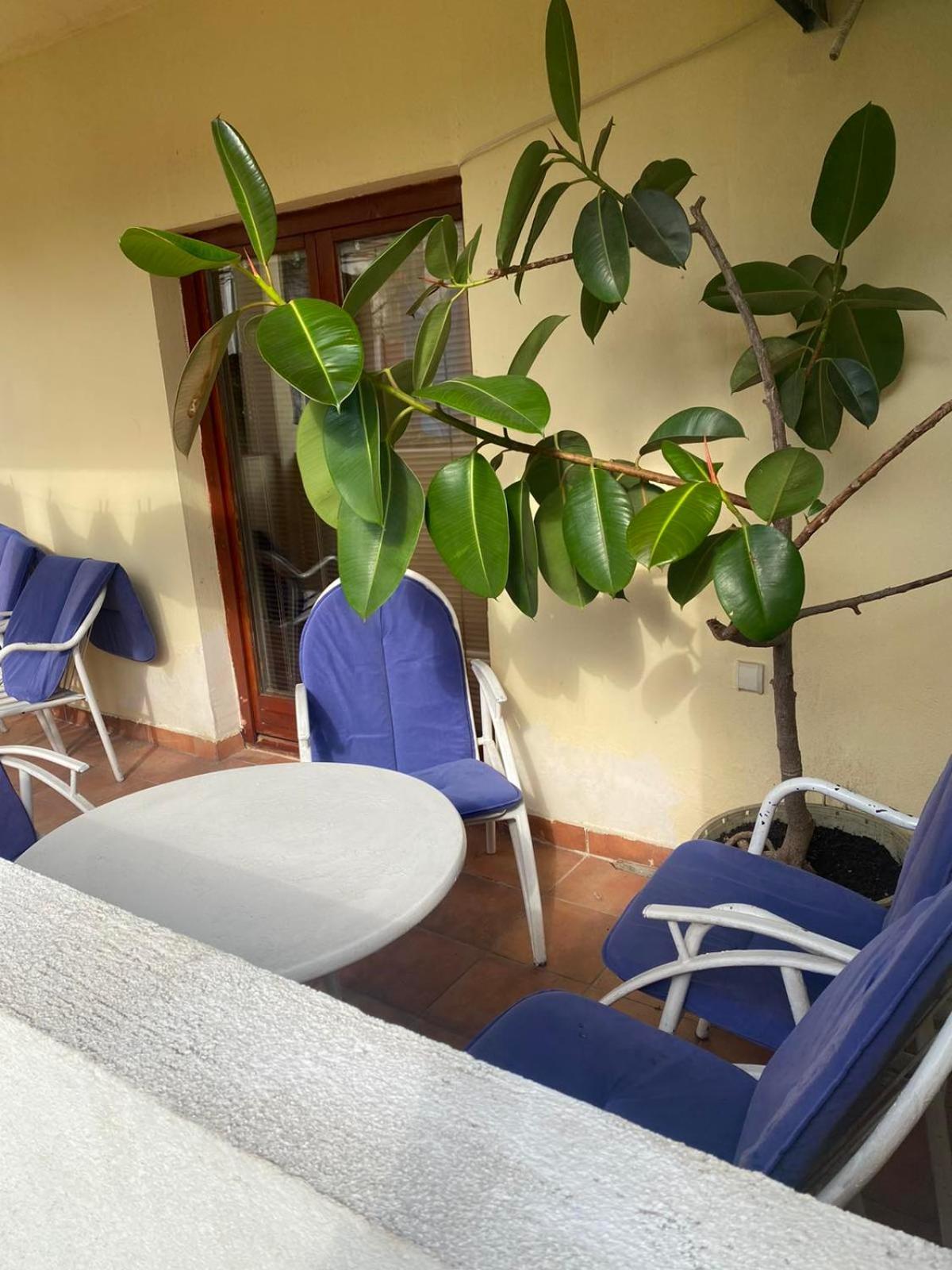 Apartmani Zelenika ヘルツェグ・ノヴィ 部屋 写真