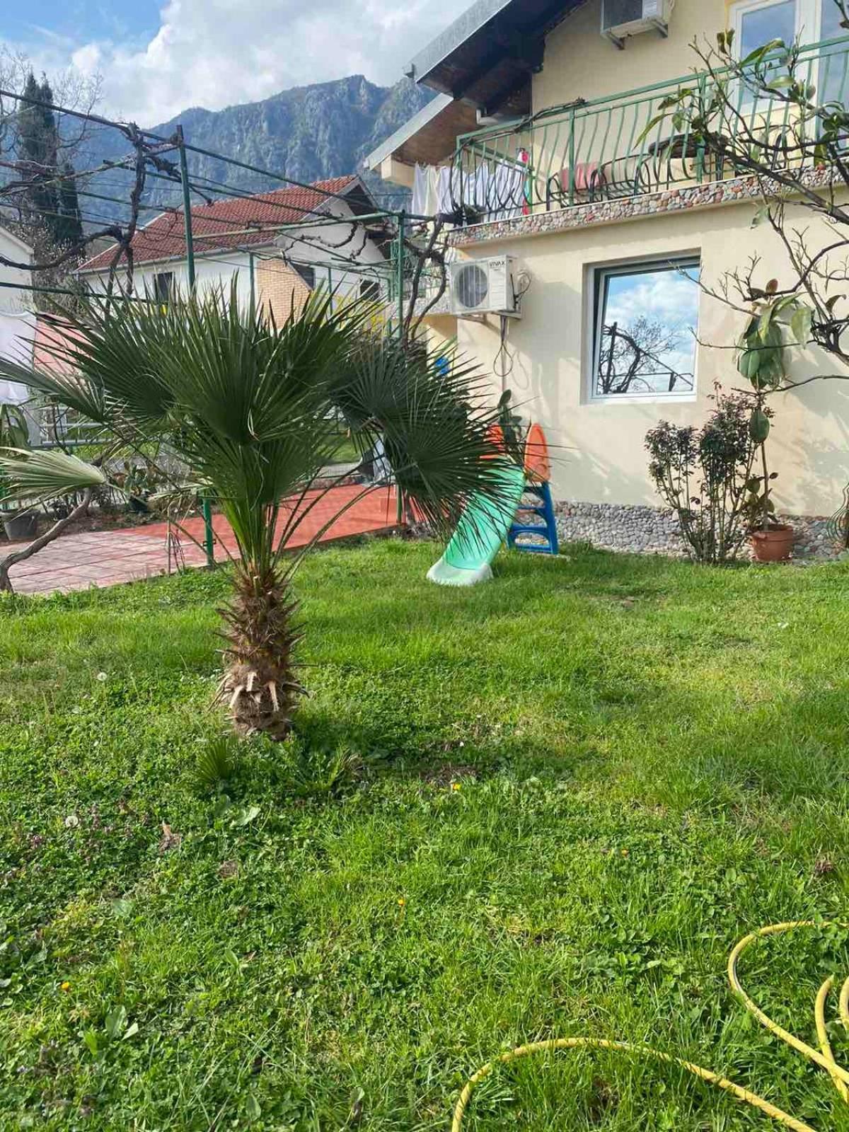 Apartmani Zelenika ヘルツェグ・ノヴィ 部屋 写真
