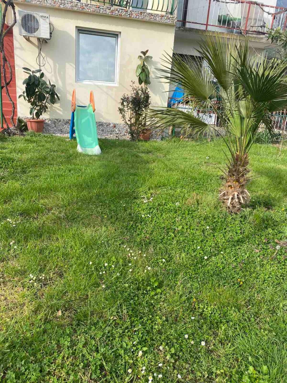 Apartmani Zelenika ヘルツェグ・ノヴィ 部屋 写真